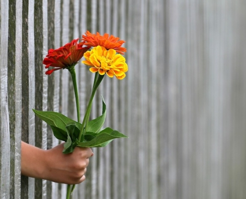child's hand holding colorful flowers through a wooden fence
